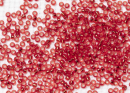 Бисер Япония MIYUKI Seed Beads 15/0 5г 0010 огненно-красный серебряная линия внутри